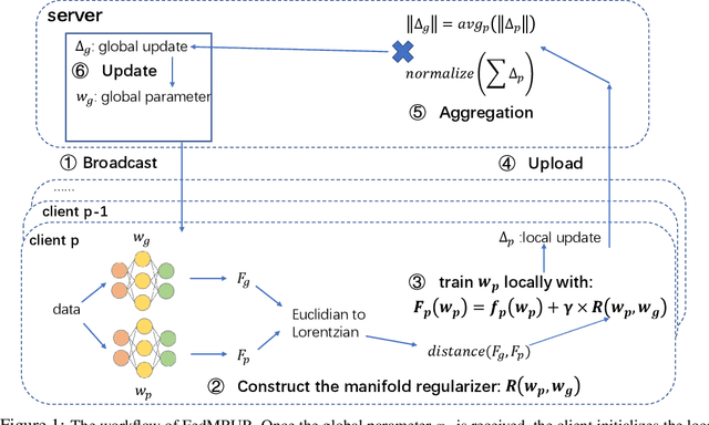 Figure 1 for Federated Learning with Manifold Regularization and Normalized Update Reaggregation