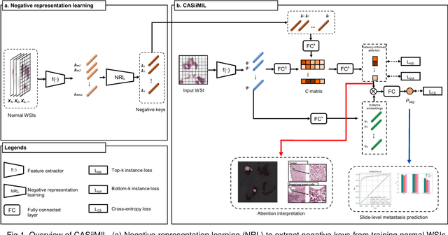 Figure 1 for Cross-attention-based saliency inference for predicting cancer metastasis on whole slide images