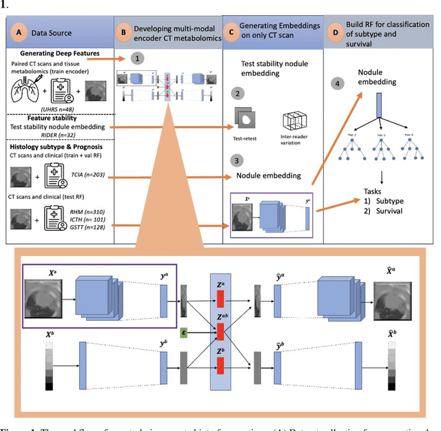 Figure 1 for Deep Representation Learning of Tissue Metabolome and Computed Tomography Images Annotates Non-invasive Classification and Prognosis Prediction of NSCLC