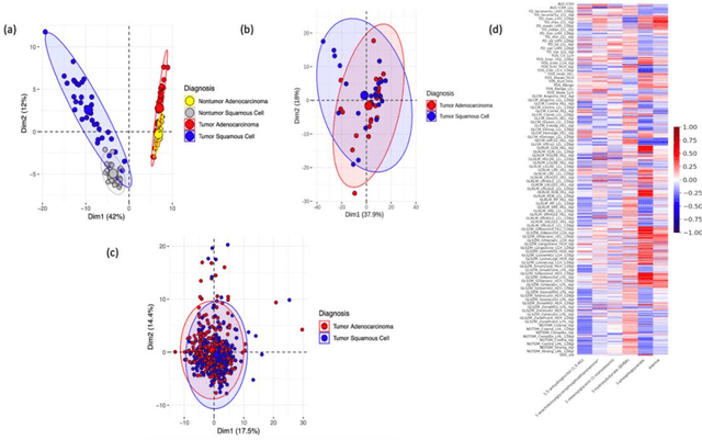 Figure 4 for Deep Representation Learning of Tissue Metabolome and Computed Tomography Images Annotates Non-invasive Classification and Prognosis Prediction of NSCLC
