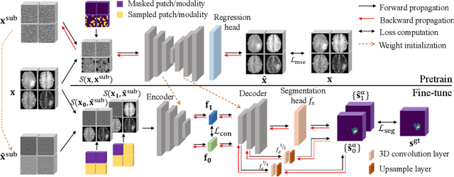 Figure 3 for M3AE: Multimodal Representation Learning for Brain Tumor Segmentation with Missing Modalities