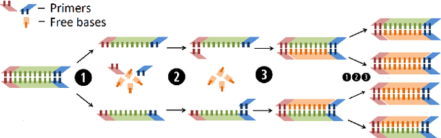 Figure 2 for Efficiently Supporting Hierarchy and Data Updates in DNA Storage
