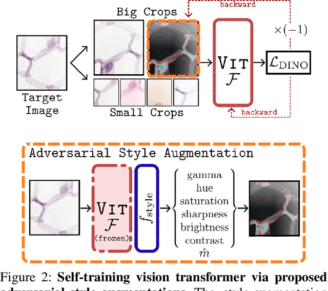 Figure 3 for Source-Free Open-Set Domain Adaptation for Histopathological Images via Distilling Self-Supervised Vision Transformer
