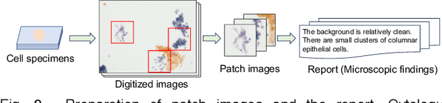 Figure 2 for Automated Report Generation for Lung Cytological Images Using a CNN Vision Classifier and Multiple-Transformer Text Decoders: Preliminary Study