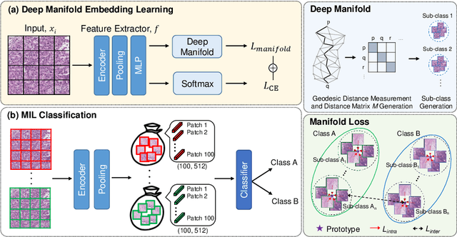 Figure 3 for Histopathology Image Classification using Deep Manifold Contrastive Learning