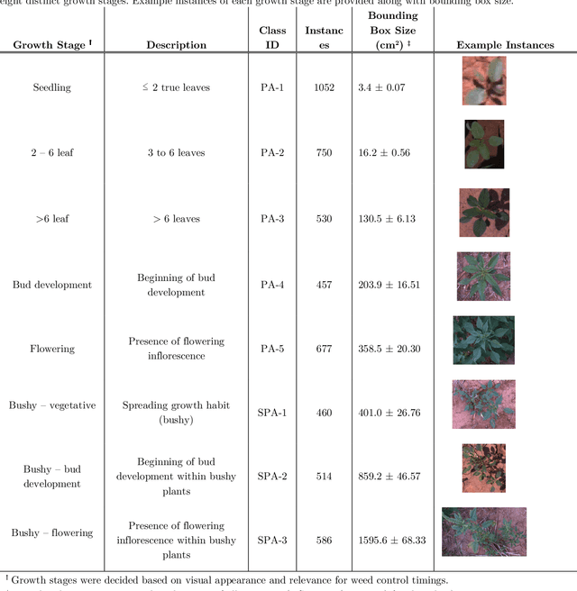 Figure 2 for Multi-growth stage plant recognition: a case study of Palmer amaranth (Amaranthus palmeri) in cotton (Gossypium hirsutum)