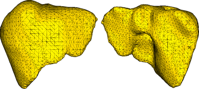 Figure 4 for Real-time elastic partial shape matching using a neural network-based adjoint method