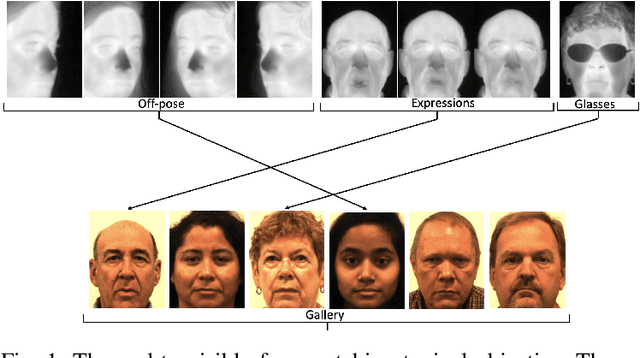 Figure 1 for Learning Domain and Pose Invariance for Thermal-to-Visible Face Recognition