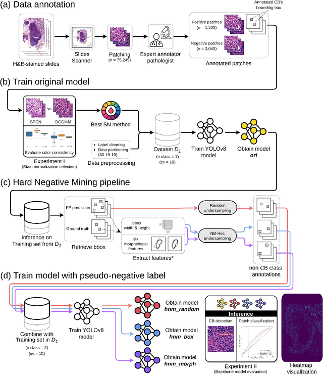 Figure 2 for PseudoCell: Hard Negative Mining as Pseudo Labeling for Deep Learning-Based Centroblast Cell Detection