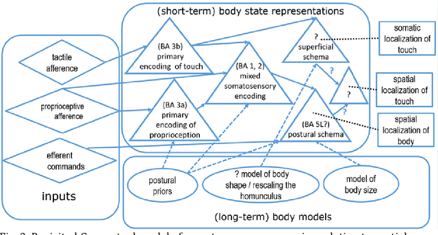 Figure 2 for Body Models in Humans and Robots