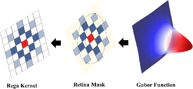 Figure 2 for Rega-Net:Retina Gabor Attention for Deep Convolutional Neural Networks