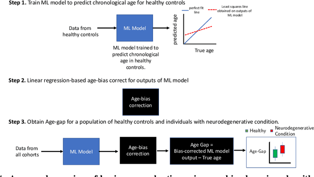 Figure 4 for Explainable Brain Age Prediction using coVariance Neural Networks