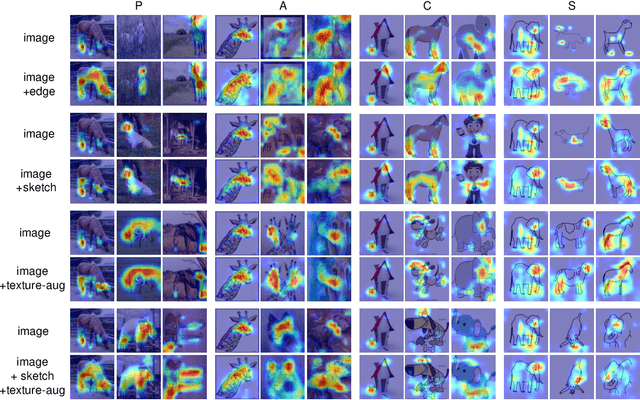 Figure 3 for Shape Guided Gradient Voting for Domain Generalization