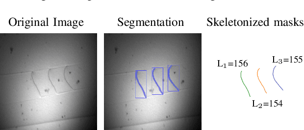 Figure 3 for Instance Segmentation of Dislocations in TEM Images
