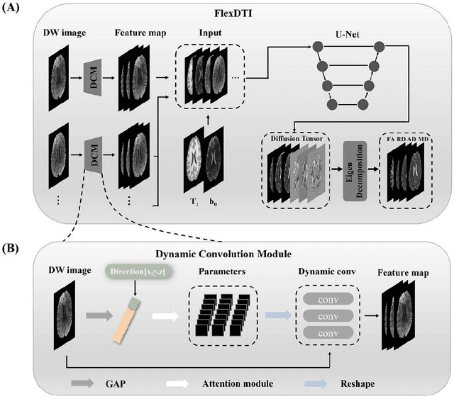 Figure 1 for High-efficient deep learning-based DTI reconstruction with flexible diffusion gradient encoding scheme
