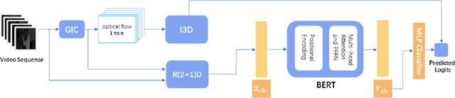 Figure 3 for IndGIC: Supervised Action Recognition under Low Illumination