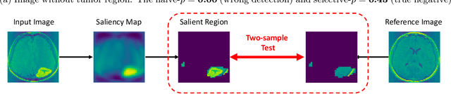 Figure 1 for Valid P-Value for Deep Learning-Driven Salient Region