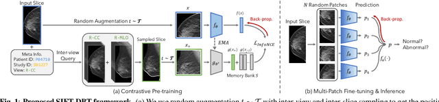 Figure 1 for SIFT-DBT: Self-supervised Initialization and Fine-Tuning for Imbalanced Digital Breast Tomosynthesis Image Classification