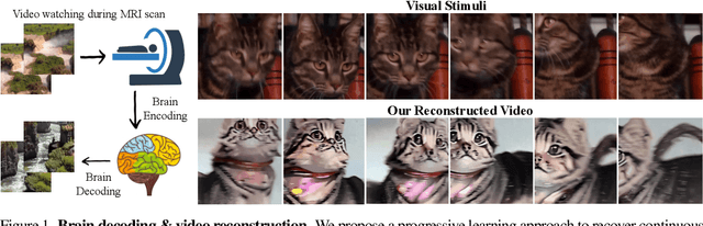 Figure 1 for Cinematic Mindscapes: High-quality Video Reconstruction from Brain Activity