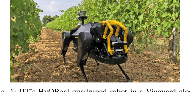 Figure 1 for Computer-Vision Based Real Time Waypoint Generation for Autonomous Vineyard Navigation with Quadruped Robots