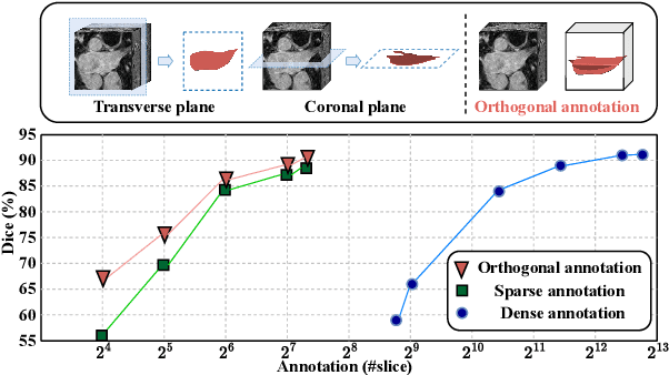 Figure 1 for Orthogonal Annotation Benefits Barely-supervised Medical Image Segmentation