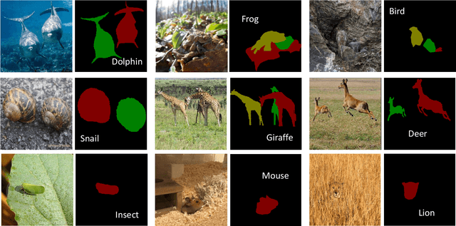 Figure 3 for Few-shot Camouflaged Animal Detection and Segmentation