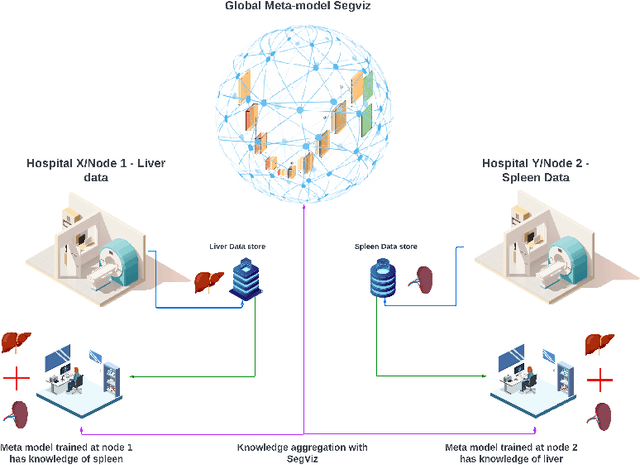 Figure 3 for SegViz: A Federated Learning Framework for Medical Image Segmentation from Distributed Datasets with Different and Incomplete Annotations