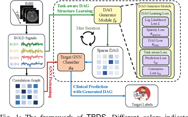 Figure 1 for Learning Task-Aware Effective Brain Connectivity for fMRI Analysis with Graph Neural Networks