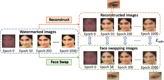 Figure 4 for Dual Defense: Adversarial, Traceable, and Invisible Robust Watermarking against Face Swapping