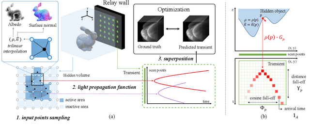 Figure 3 for Domain Reduction Strategy for Non Line of Sight Imaging