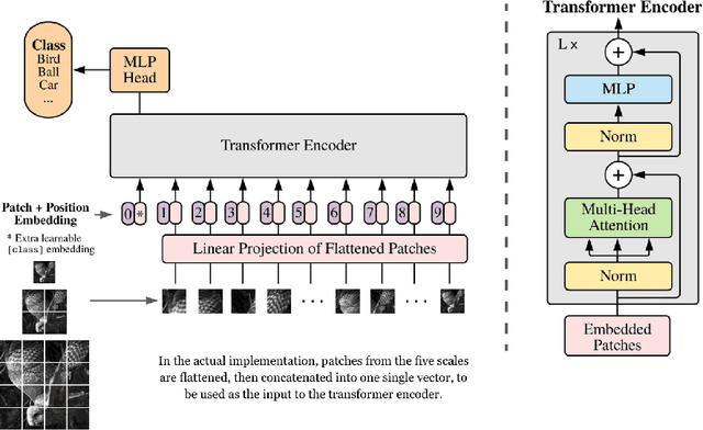 Figure 3 for Retina Vision Transformer (RetinaViT): Introducing Scaled Patches into Vision Transformers