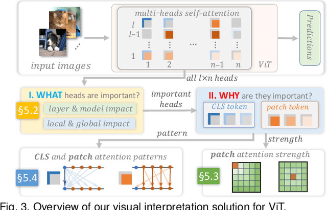 Figure 3 for How Does Attention Work in Vision Transformers? A Visual Analytics Attempt