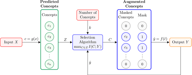 Figure 1 for Selective Concept Models: Permitting Stakeholder Customisation at Test-Time