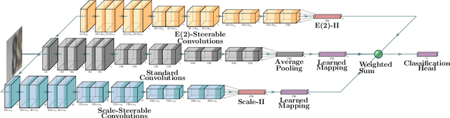 Figure 1 for Deep Neural Networks with Efficient Guaranteed Invariances