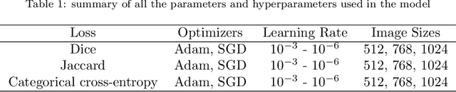 Figure 2 for Multiclass Semantic Segmentation to Identify Anatomical Sub-Regions of Brain and Measure Neuronal Health in Parkinson's Disease