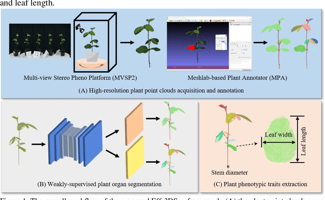 Figure 1 for Eff-3DPSeg: 3D organ-level plant shoot segmentation using annotation-efficient point clouds