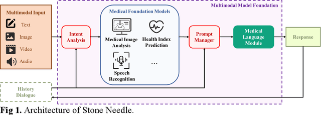 Figure 1 for Stone Needle: A General Multimodal Large-scale Model Framework towards Healthcare