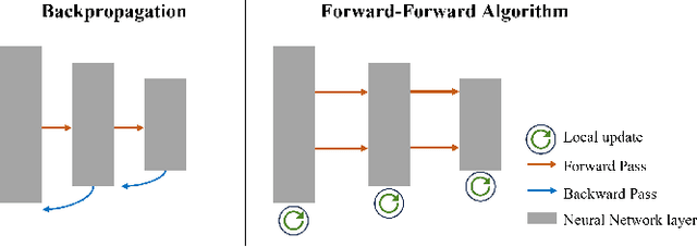 Figure 1 for The Forward-Forward Algorithm as a feature extractor for skin lesion classification: A preliminary study