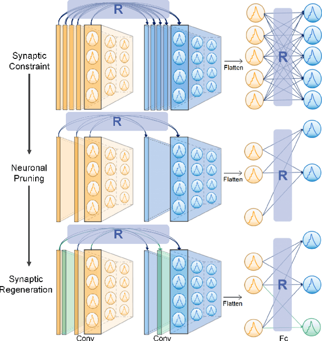 Figure 1 for Adaptive Sparse Structure Development with Pruning and Regeneration for Spiking Neural Networks