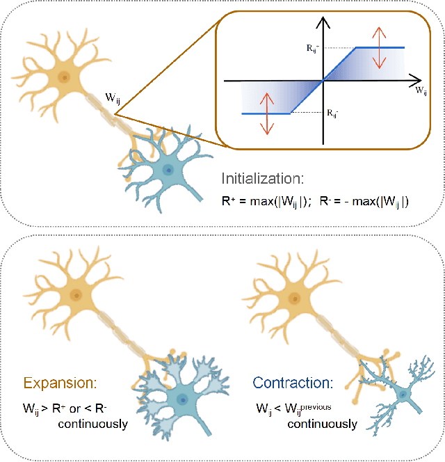 Figure 2 for Adaptive Sparse Structure Development with Pruning and Regeneration for Spiking Neural Networks