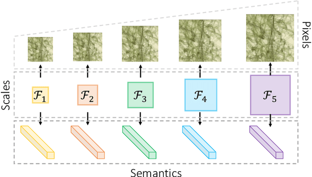 Figure 1 for PCRLv2: A Unified Visual Information Preservation Framework for Self-supervised Pre-training in Medical Image Analysis