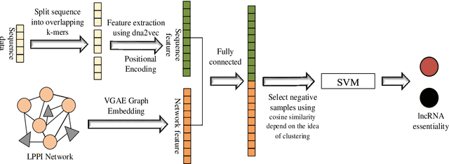 Figure 1 for DeepHEN: quantitative prediction essential lncRNA genes and rethinking essentialities of lncRNA genes