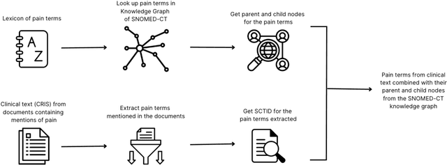 Figure 1 for Development of a Knowledge Graph Embeddings Model for Pain