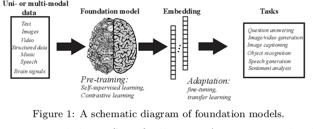 Figure 1 for Large-scale Foundation Models and Generative AI for BigData Neuroscience