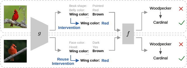Figure 1 for Learning to Intervene on Concept Bottlenecks