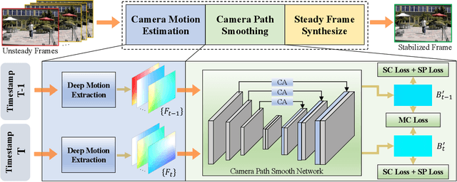 Figure 1 for Minimum Latency Deep Online Video Stabilization