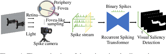 Figure 1 for Finding Visual Saliency in Continuous Spike Stream