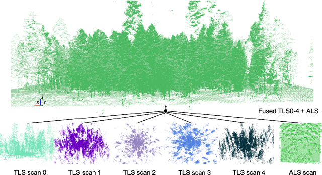 Figure 1 for Automated Structural-level Alignment of Multi-view TLS and ALS Point Clouds in Forestry