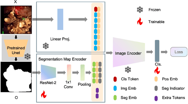 Figure 1 for SegPrompt: Using Segmentation Map as a Better Prompt to Finetune Deep Models for Kidney Stone Classification