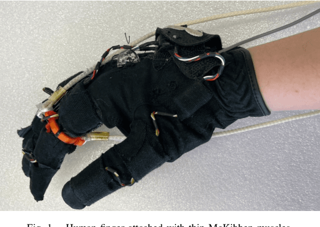 Figure 1 for Tracker: Model-based Reinforcement Learning for Tracking Control of Human Finger Attached with Thin McKibben Muscles